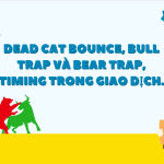 Dead Cat Bounce, Bull Trap và Bear Trap, Timing trong giao dịch.