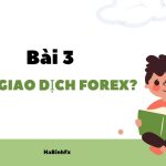 Ai giao dịch Forex?