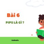 Pips là gì ?