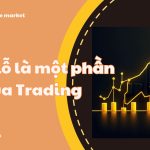 Đừng cố tránh né thua lỗ