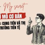 Vi mo co ban 1