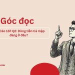 Báo Cáo 13F Q2: Dòng tiền Cá mập đang ở đâu?