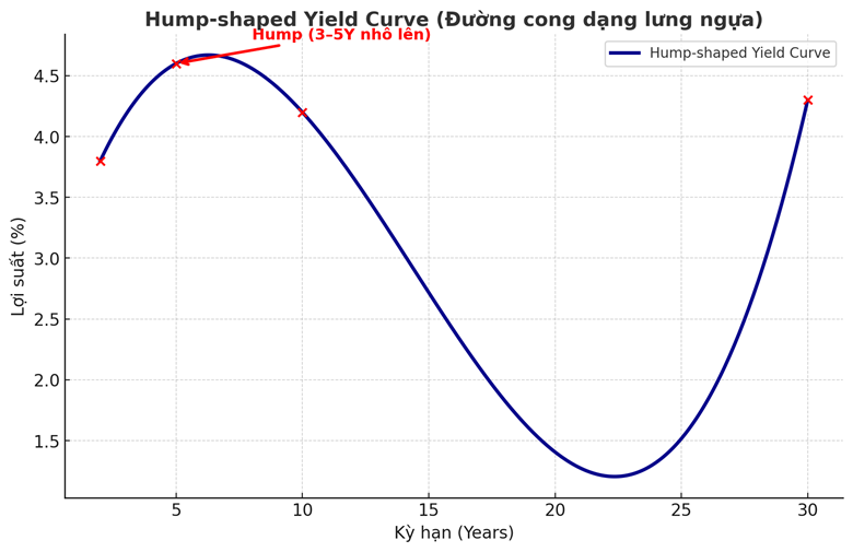 Trái phiếu và tiền tệ (phần 5): Các dạng yield curve đặc biệt 2 Hump-shaped Yield Curve