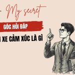 Bánh xe cảm xúc là gì